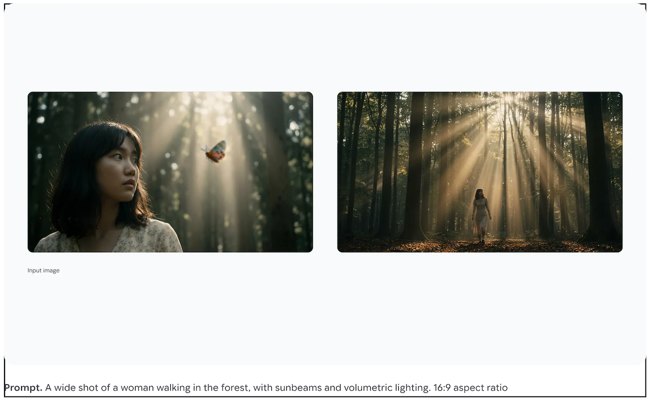 Studio-quality control over camera, light and format example